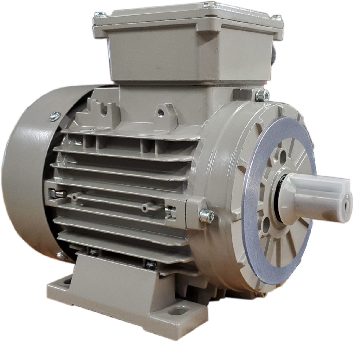 DLT Electric custom industrial motor