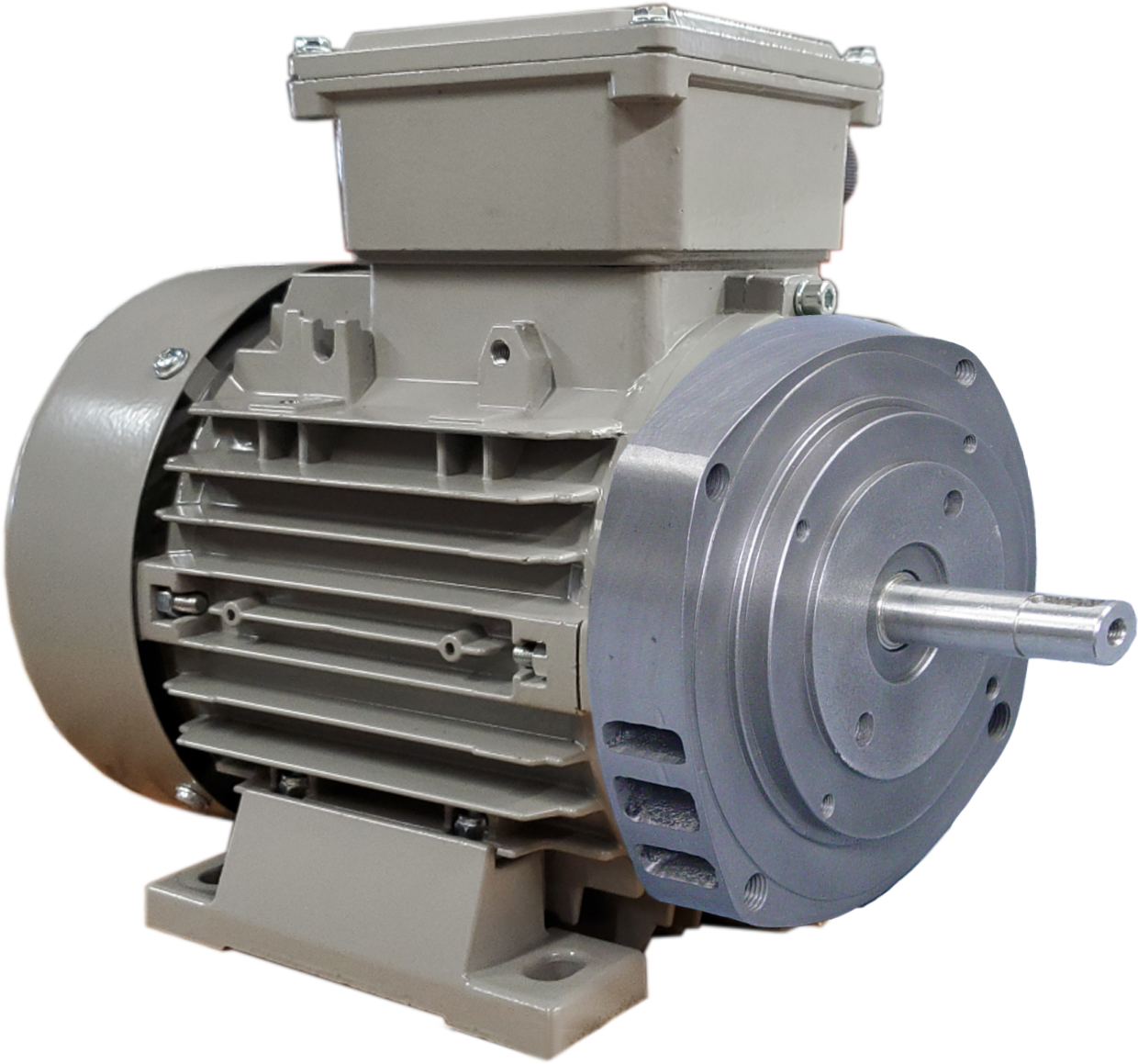 DLT Electric custom dual-face motor